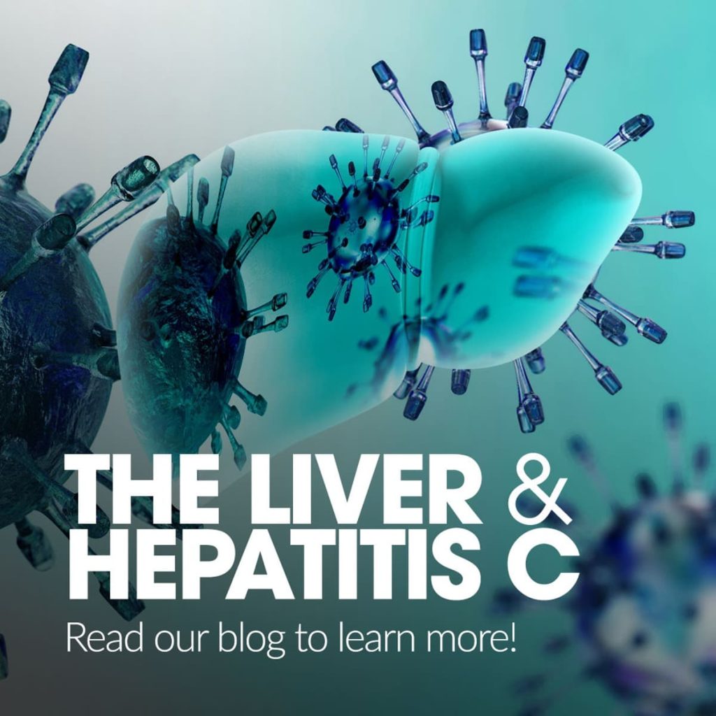 The Liver and Hepatitis C